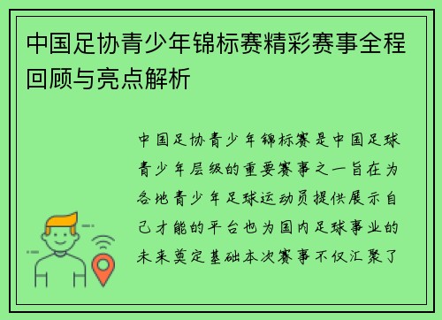 中国足协青少年锦标赛精彩赛事全程回顾与亮点解析